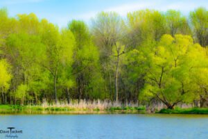 Rock River