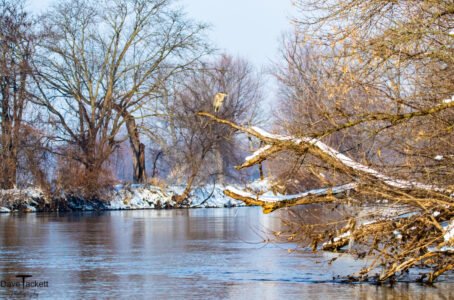 Rock River