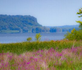 Mississippi River