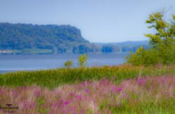 Mississippi River