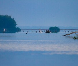 2015 Mississippi River