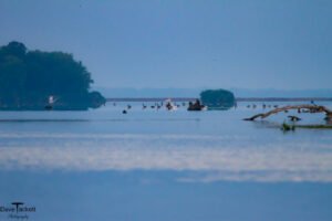 2015 Mississippi River