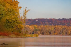 2015 Mississippi River