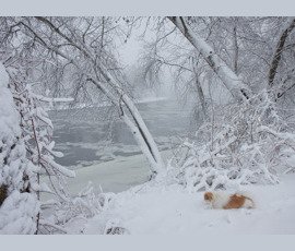 2015 Winter