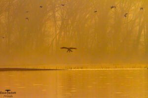 2015 Mississippi River