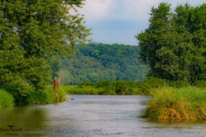 2015 Mississippi River