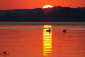 2015 Mississippi River