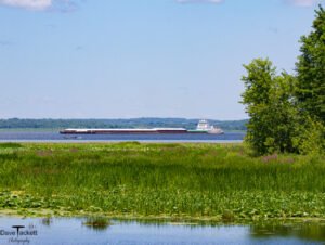 2015 Mississippi River