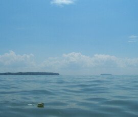 Lake Erie 5